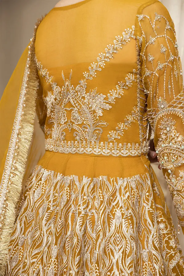 House of Nawab | Luxury Formals | HAZWA B