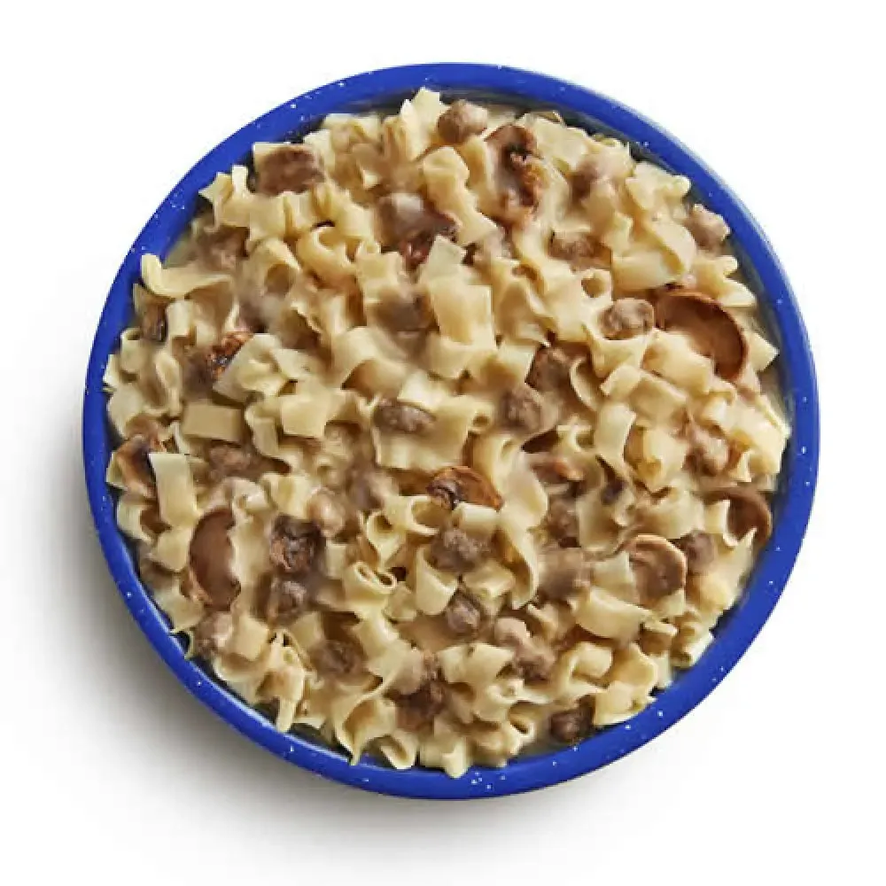 Mountain House BEEF STROGANOFF with NOODLES Pouch (2-Servings)