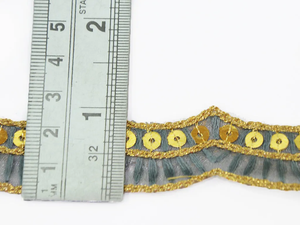 Multicolor Sequins & Thread Embroidered Border