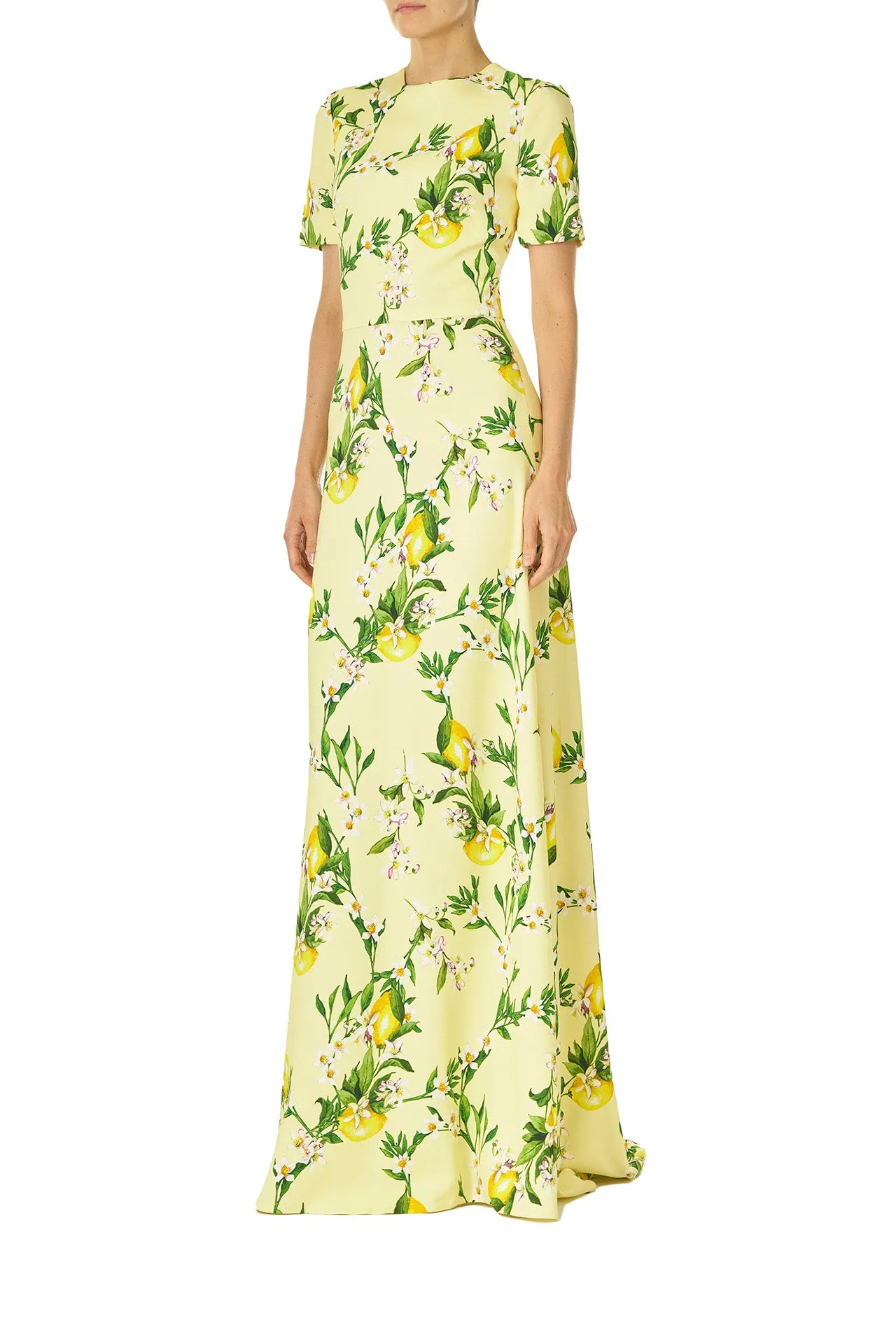 Short Sleeve Lemon Print Gown