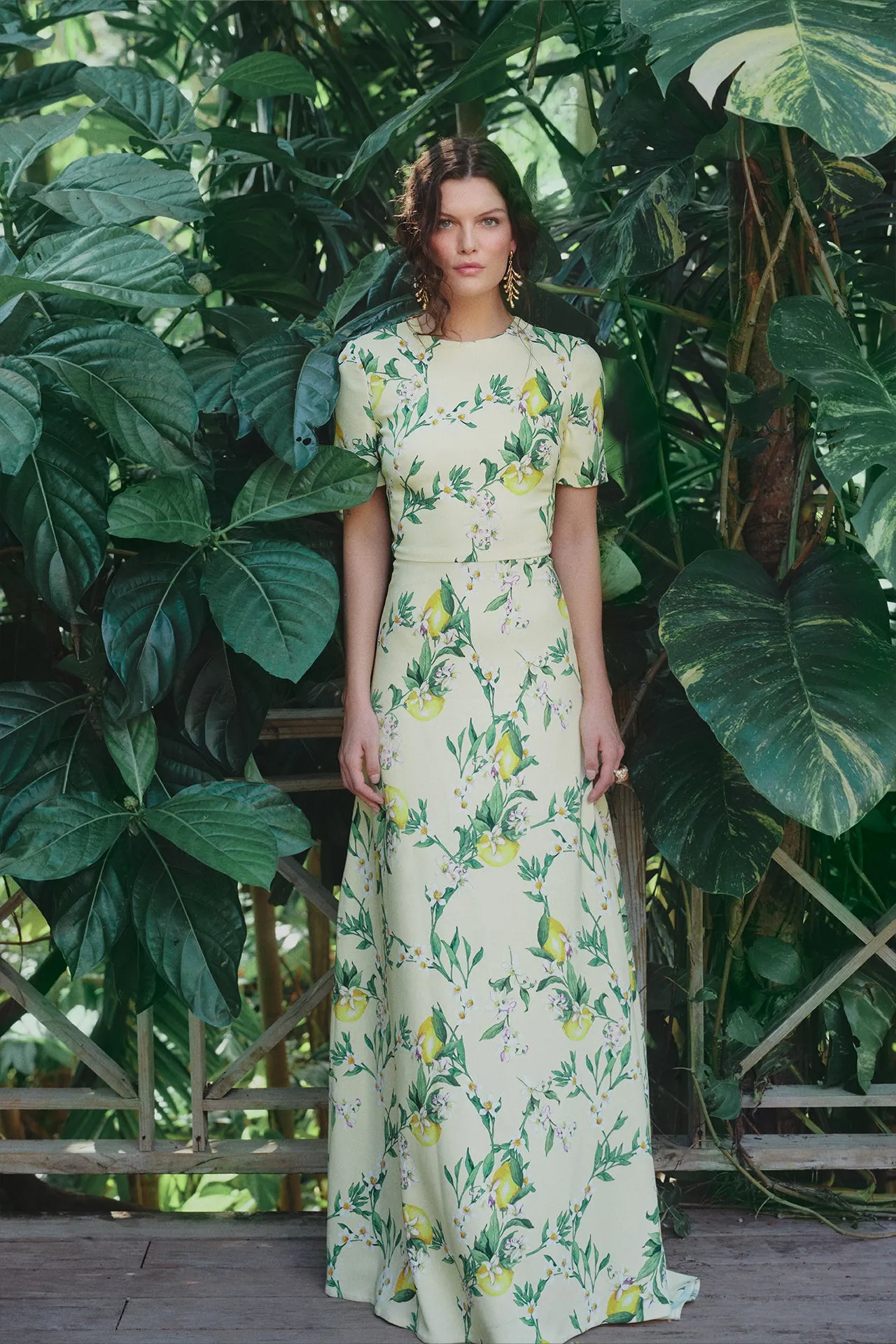 Short Sleeve Lemon Print Gown