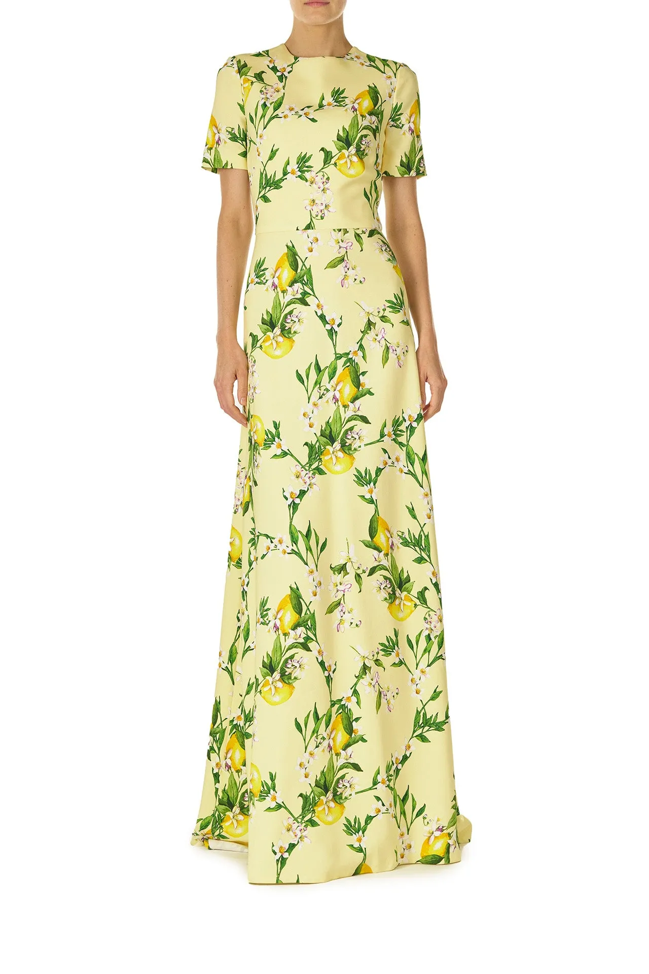 Short Sleeve Lemon Print Gown